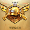 平板视角pubg app