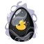 DUCK (DLP Duck)