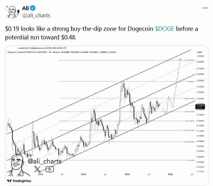 狗狗币价格预测：多头能否引发 0.25 美元的突破 狗狗币价格一文分析