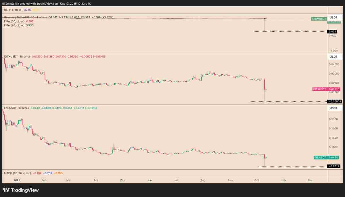 一文了解为什么币安（BINANCE）上的一些山寨币暴跌至零