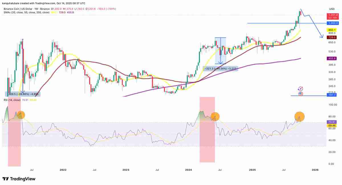 一文了解BNB价格较历史高点下跌12%:牛市行情是否终结