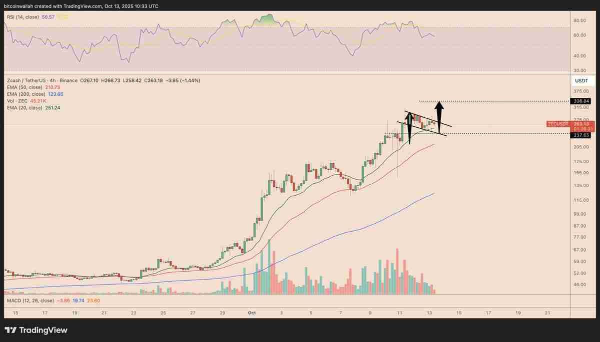 Zcash月度涨幅高达520%:大零币(ZEC)价格上涨行情能否延续