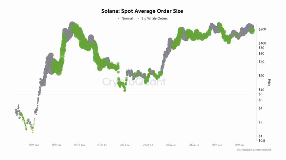 数据显示76%散户做多索拉纳,SOL反弹至200美元关口能否守住一文了解
