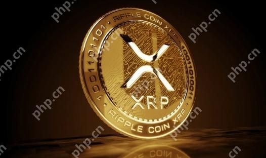 瑞波币怎么玩 小白如何购买瑞波币（XRP）